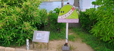 IMG_20250602_093109821_HDR_AEs-
