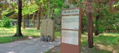 IMG_20250604_102650126_HDR_AEs-