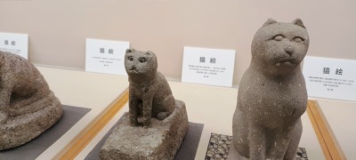 IMG_20250830_102954611_AEs-