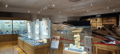 IMG_20250912_153925241_HDRs-s-