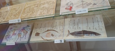 IMG_20251024_103711670s-