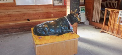 IMG_20260305_144803220_AEs-