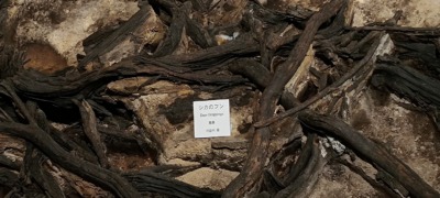 IMG_20260819_112215879s-
