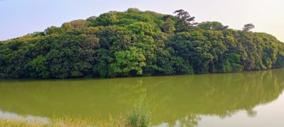 img_20250601_170849505_hdr_aes-