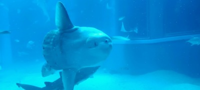 img_20250602_104002544_aes-